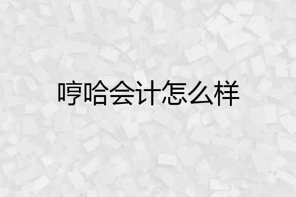 哼哈会计怎么样
