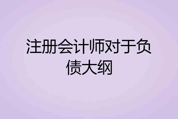 注册会计师对于负债大纲