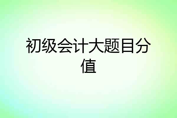 初级会计大题目分值
