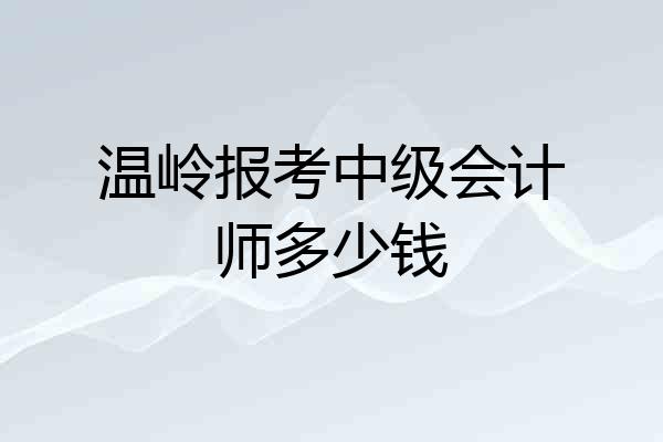 温岭报考中级会计师多少钱