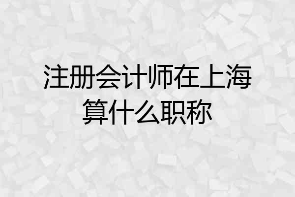 注册会计师在上海算什么职称