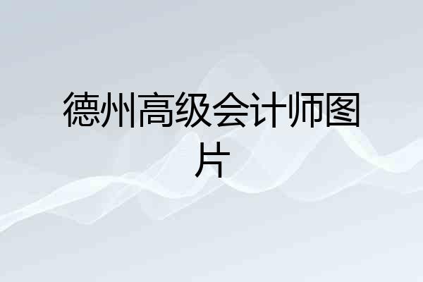 德州高级会计师图片