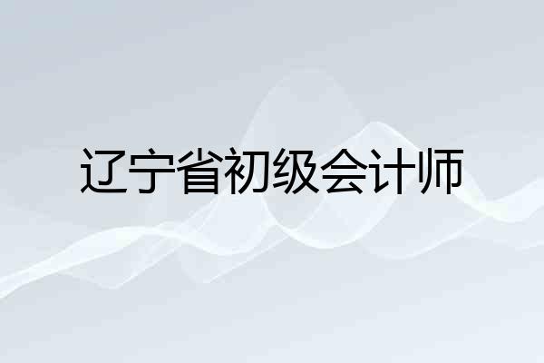 辽宁省初级会计师