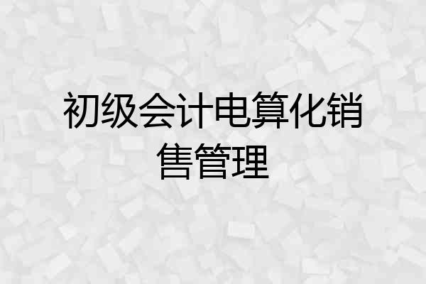 初级会计电算化销售管理