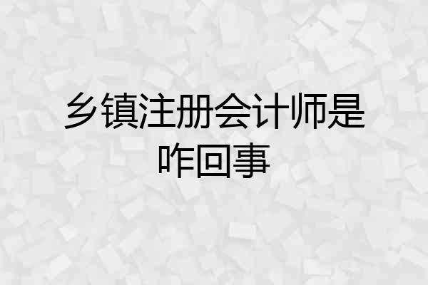 乡镇注册会计师是咋回事