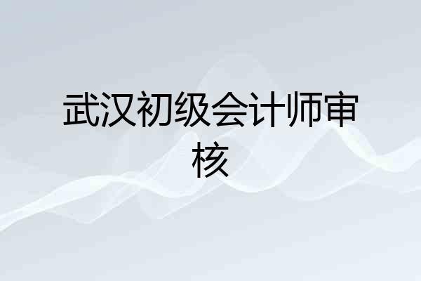 武汉初级会计师审核