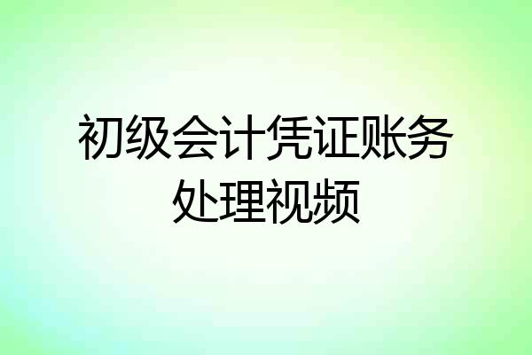 初级会计凭证账务处理视频