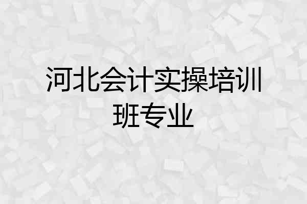 河北会计实操培训班专业