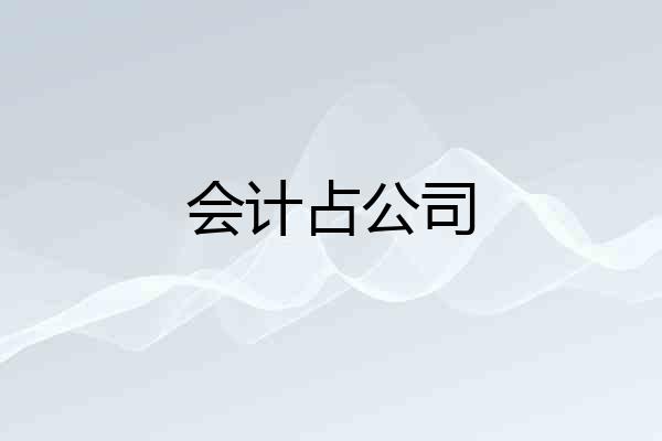 会计占公司