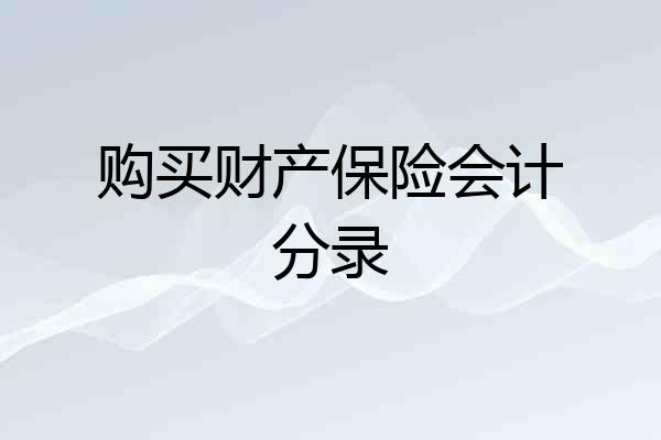 购买财产保险会计分录