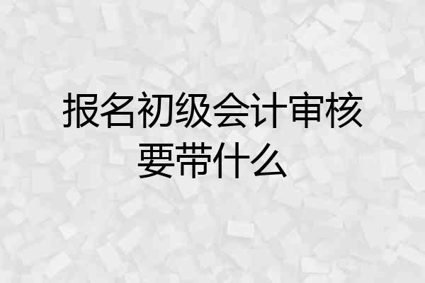 报名初级会计审核要带什么