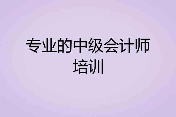 专业的中级会计师培训