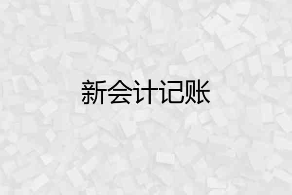新会计记账