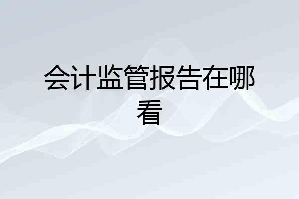 会计监管报告在哪看