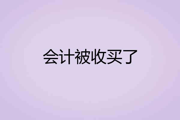 会计被收买了