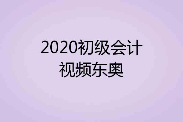 2020初级会计视频东奥