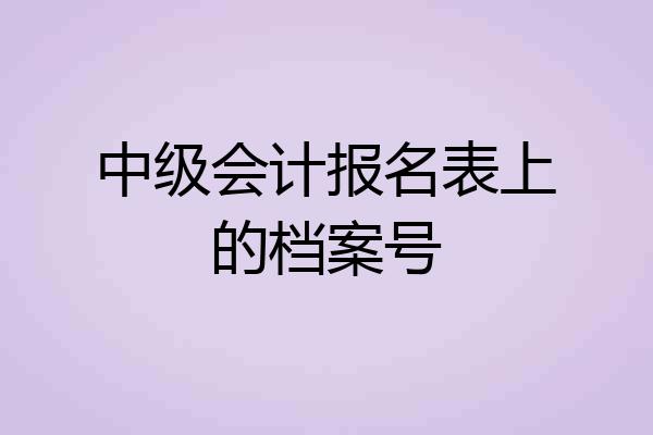 中级会计报名表上的档案号