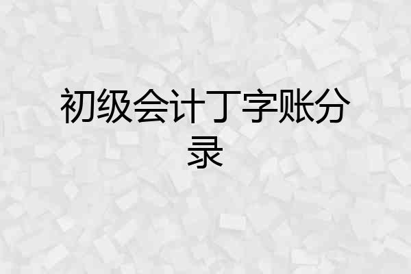 初级会计丁字账分录