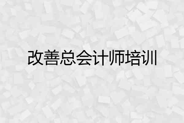 改善总会计师培训