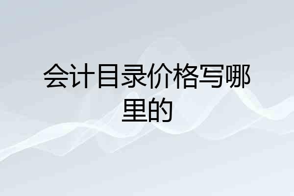会计目录价格写哪里的