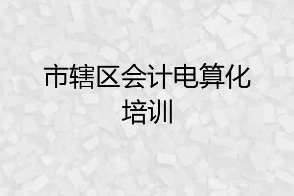 市辖区会计电算化培训