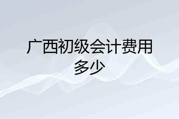 广西初级会计费用多少