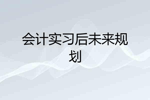 会计实习后未来规划