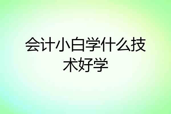 会计小白学什么技术好学