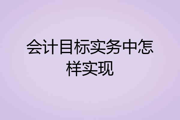 会计目标实务中怎样实现