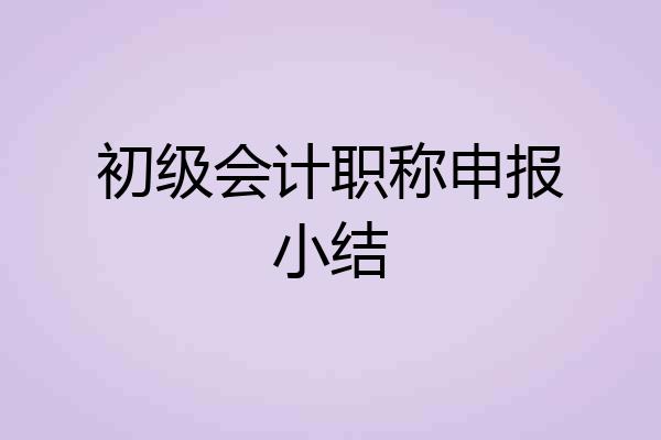 初级会计职称申报小结