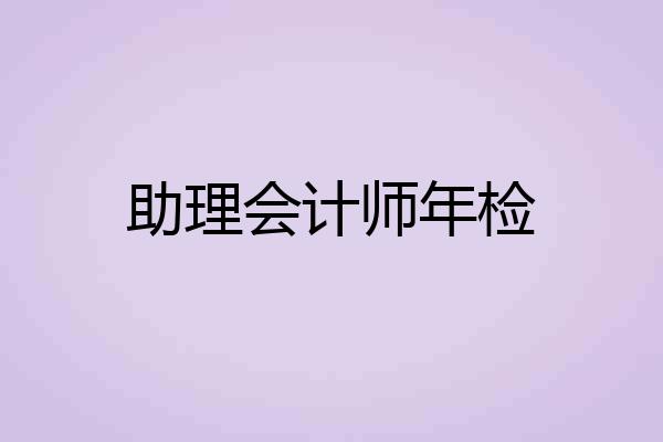 助理会计师年检