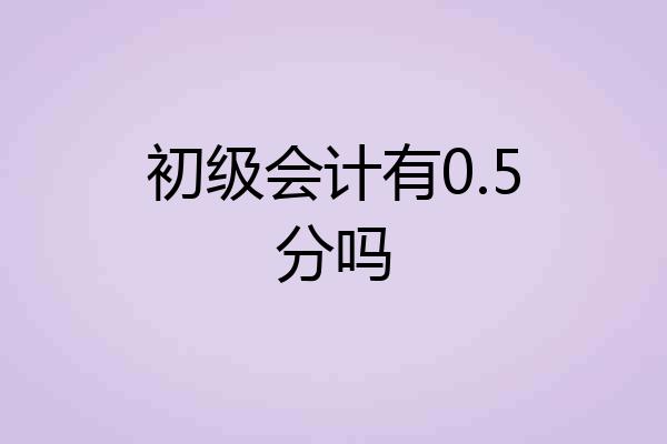 初级会计有0.5分吗