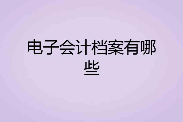 电子会计档案有哪些