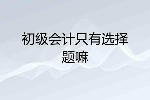 初级会计只有选择题嘛