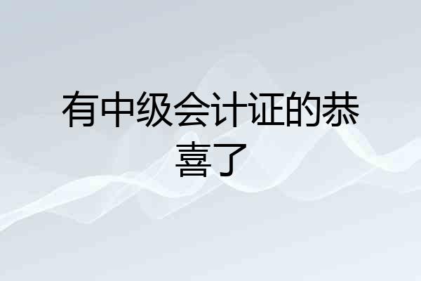 有中级会计证的恭喜了