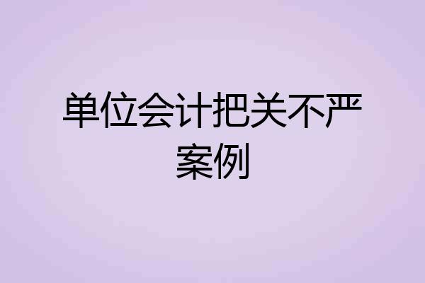 单位会计把关不严案例