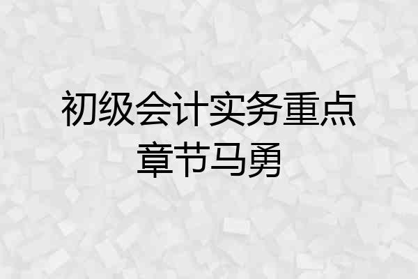 初级会计实务重点章节马勇