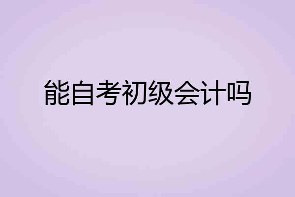 能自考初级会计吗