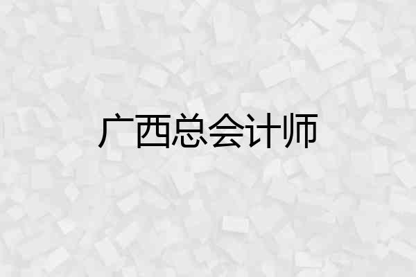 广西总会计师