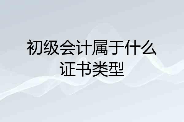初级会计属于什么证书类型