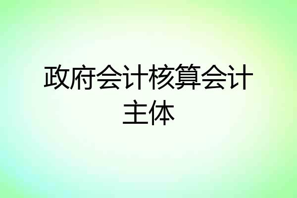 政府会计核算会计主体