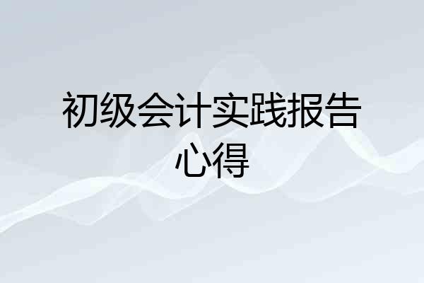 初级会计实践报告心得