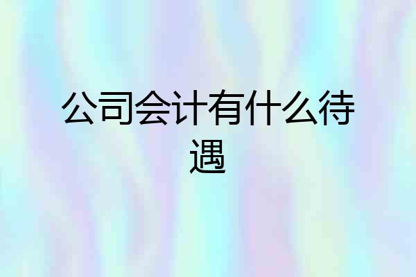 公司会计有什么待遇