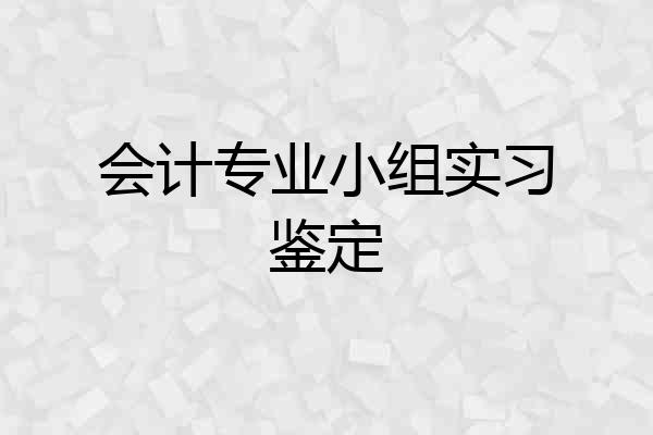 会计专业小组实习鉴定