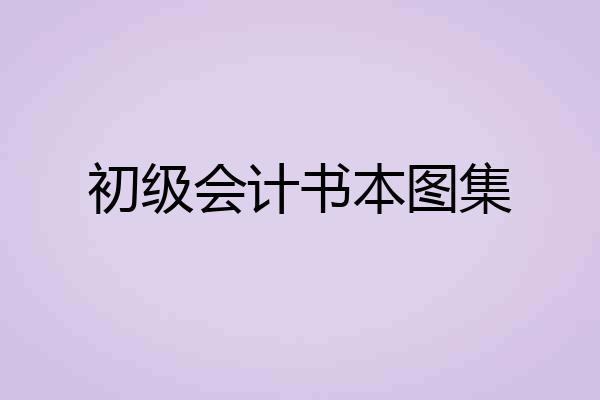 初级会计书本图集