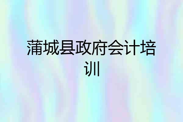 蒲城县政府会计培训