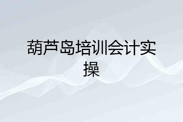 葫芦岛培训会计实操
