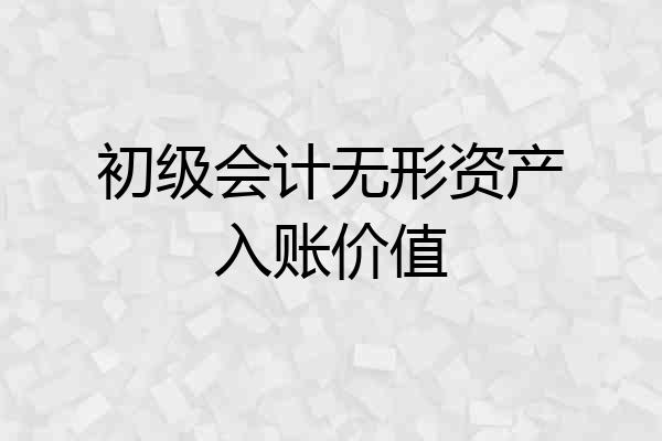 初级会计无形资产入账价值