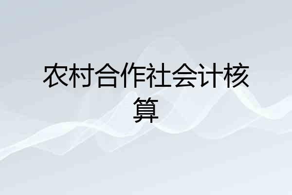 农村合作社会计核算