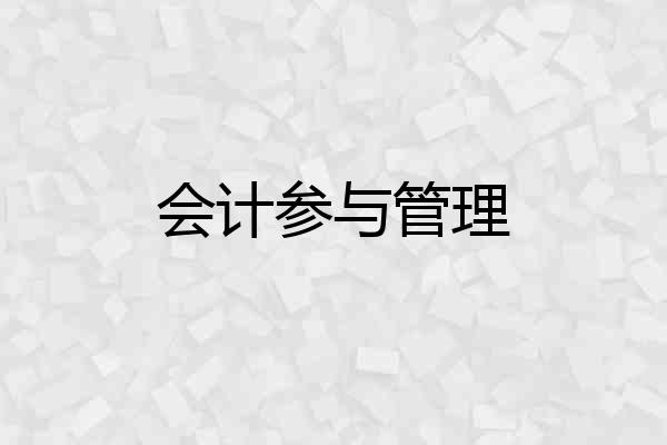 会计参与管理